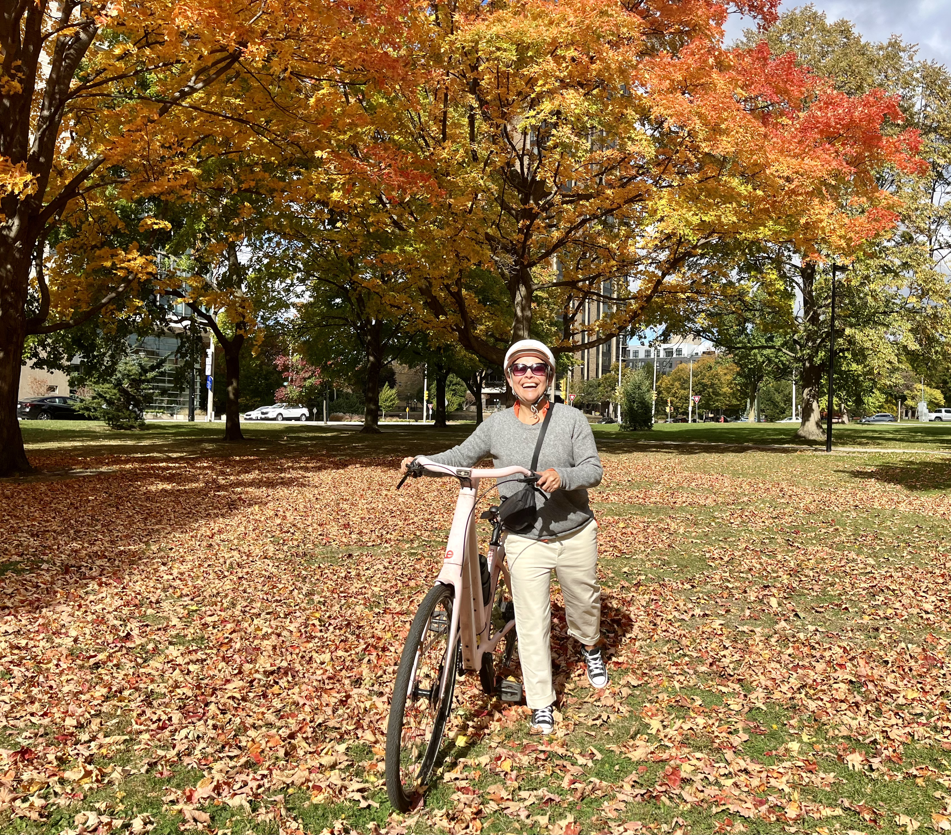 OLD MTB フレーム CHROME FFC MKE Bike Tour
