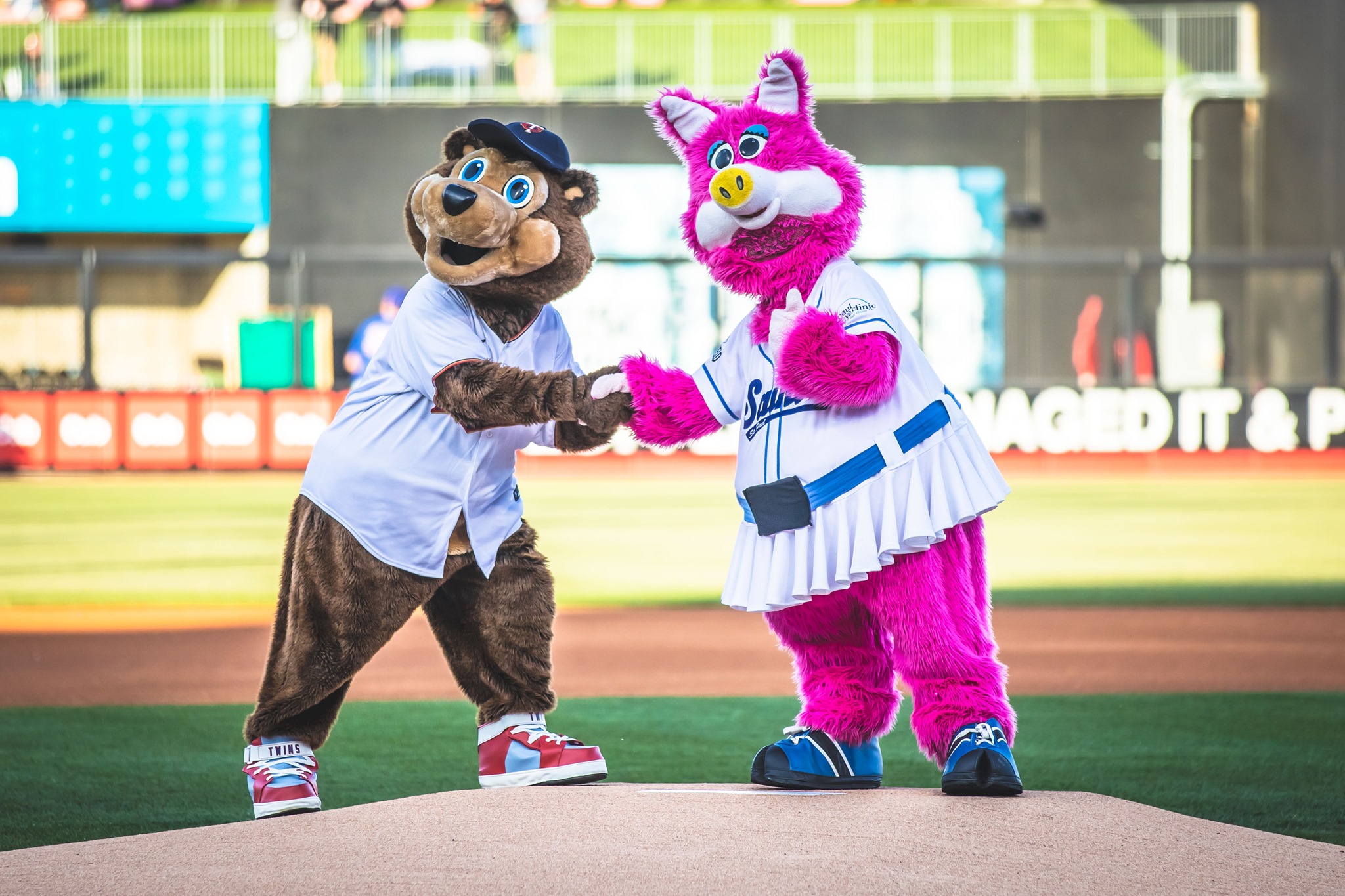 Saint Paul Saints Game - Fun Event