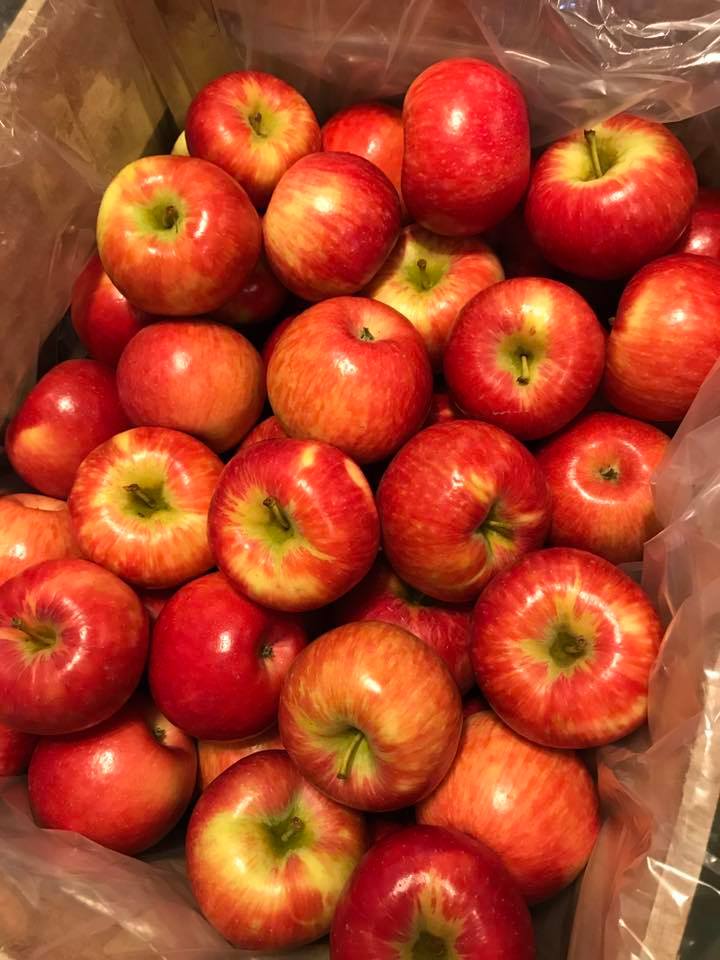 Apple Jack Orchards