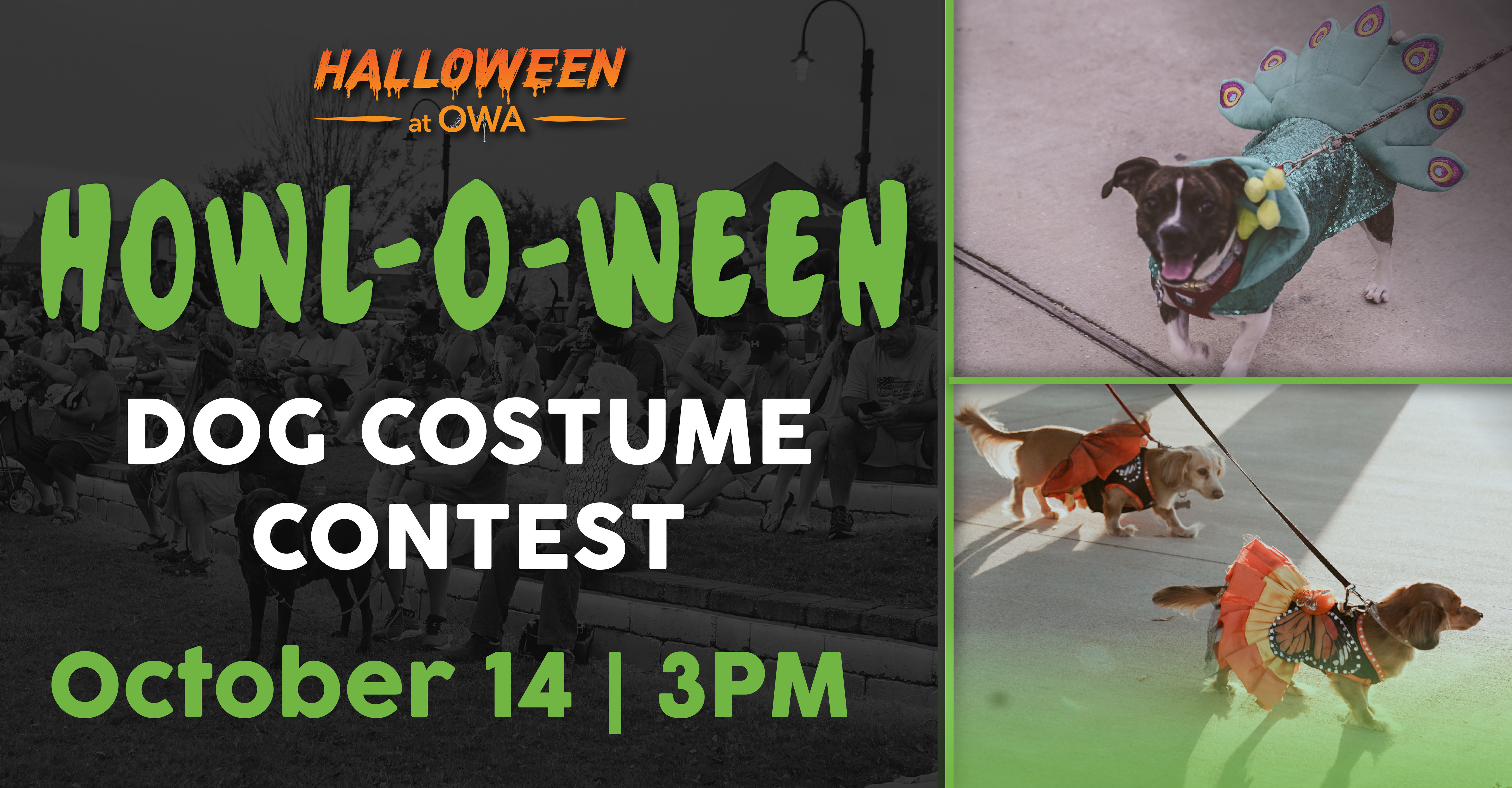 Howl-o-ween Dog Costume Contest - City of Semmes, Alabama