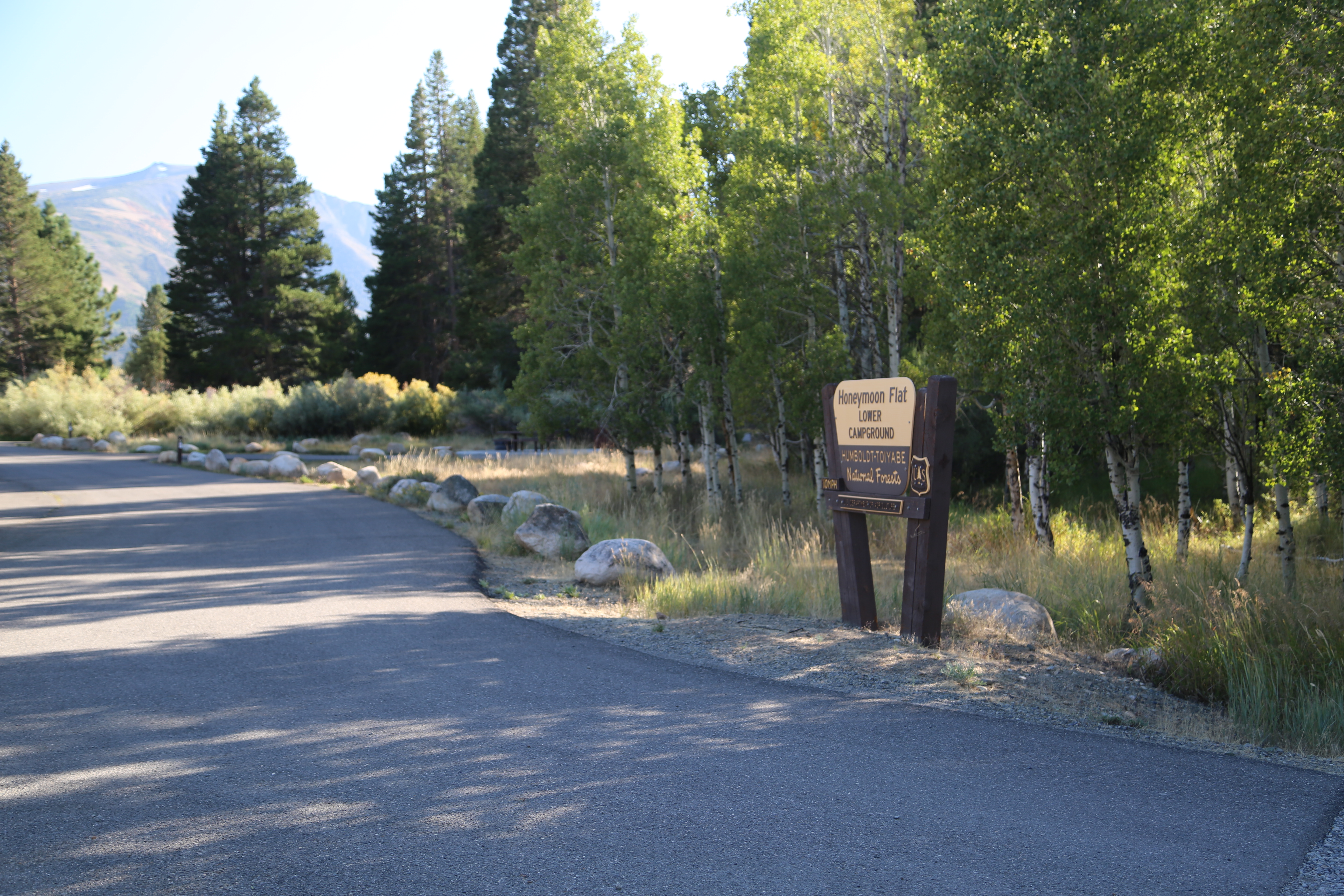 Honeymoon Flat Campground