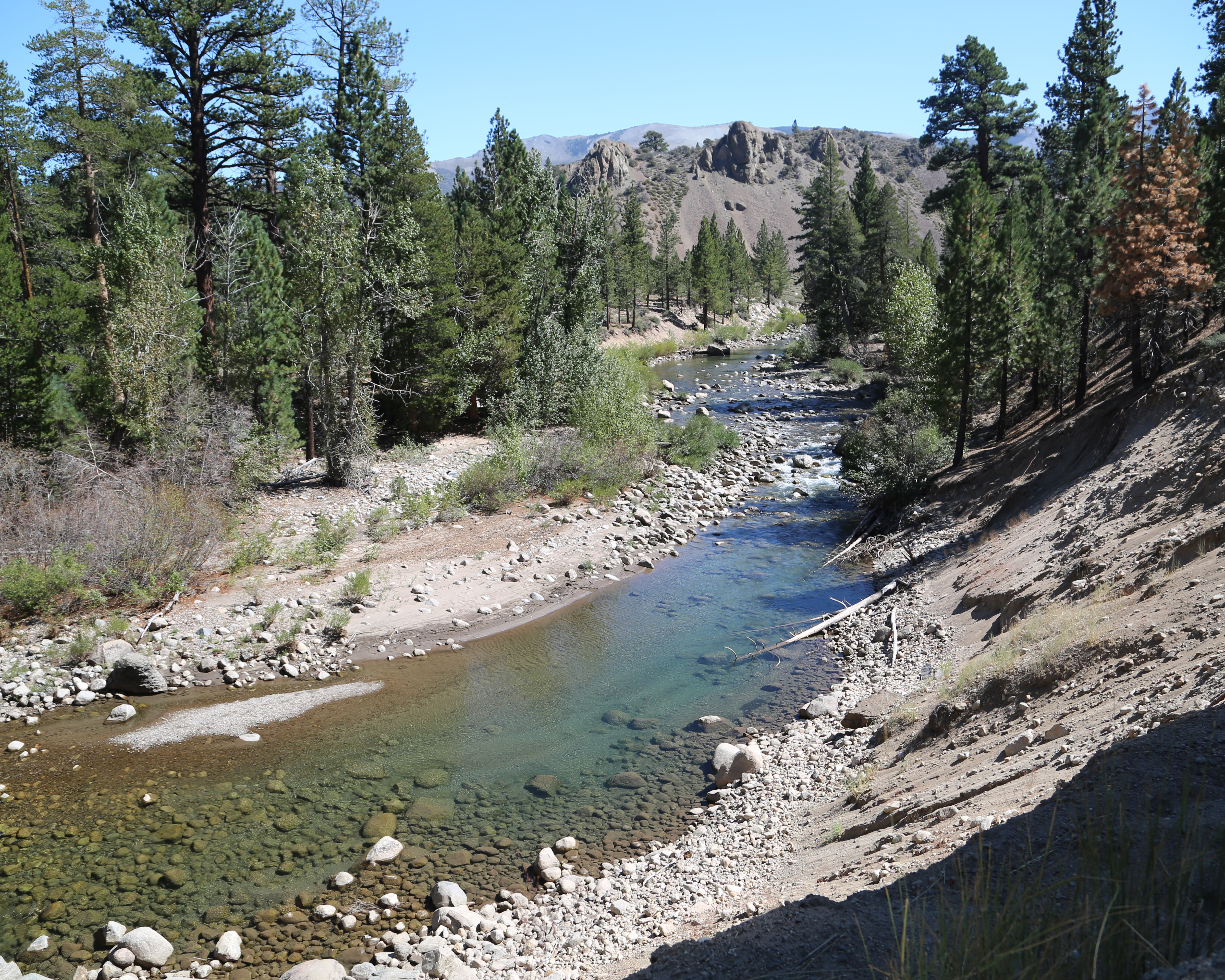 Leavitt hotsell lake camping