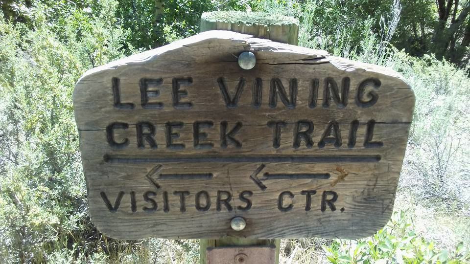 Lee Vining Creek Trail