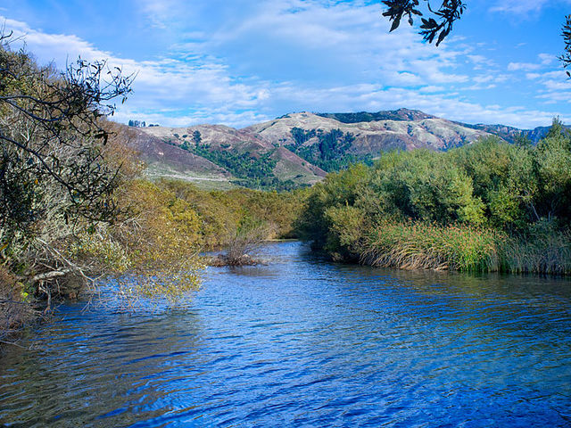 Andrew molera trail campground hotsell