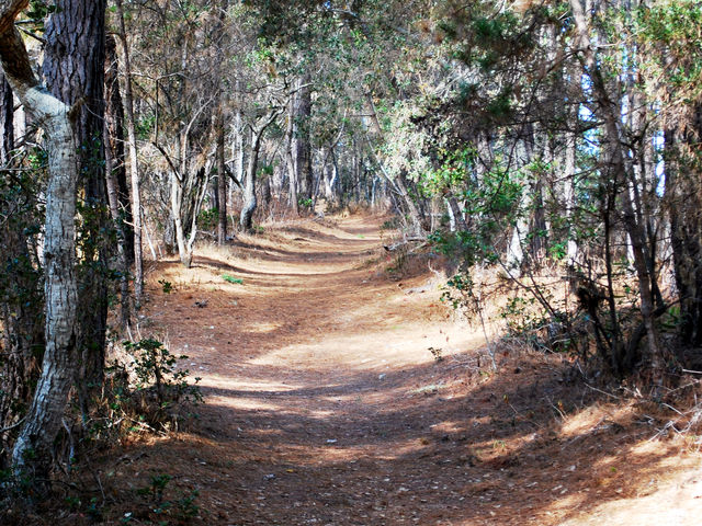 Jacks Peak Trail Map Jacks Peak County Park
