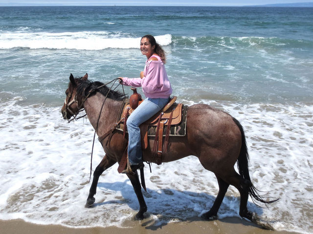 Chaparral Ranch Horseback Beach Rides Chaparral Ranch Horseback Beach Rides