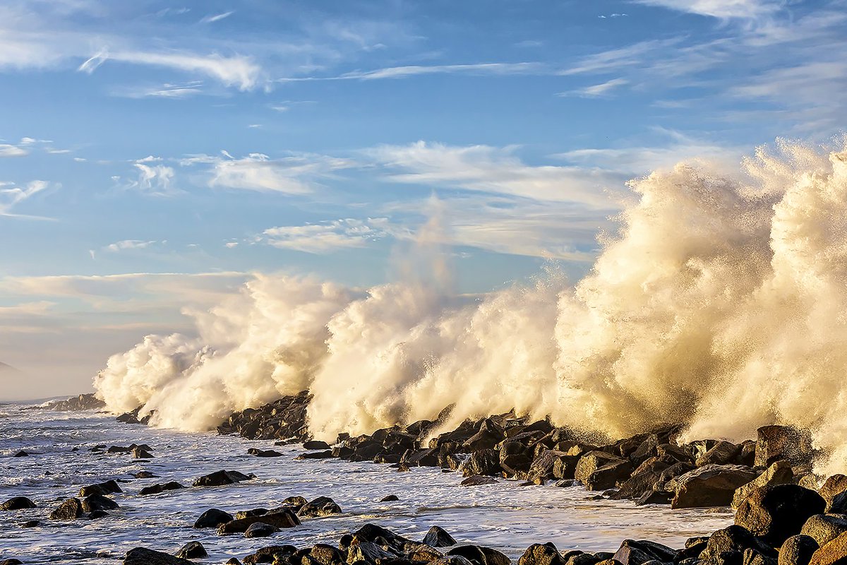 Morro Bay Mutt Mitts to the Rescue - Morro Bay National Estuary Program