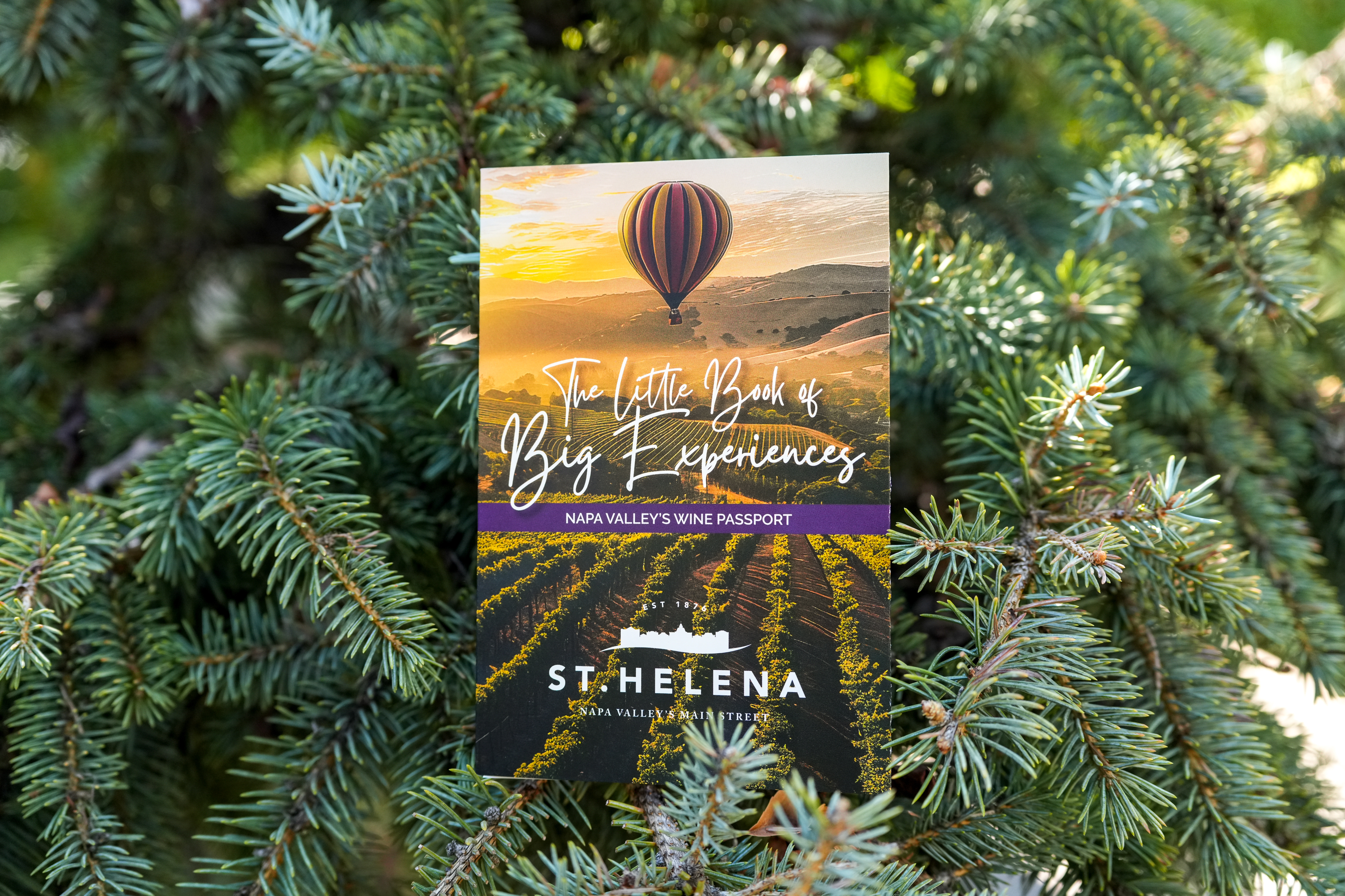 The Little Book of Big Experiences Napa Valley's Wine Passport at