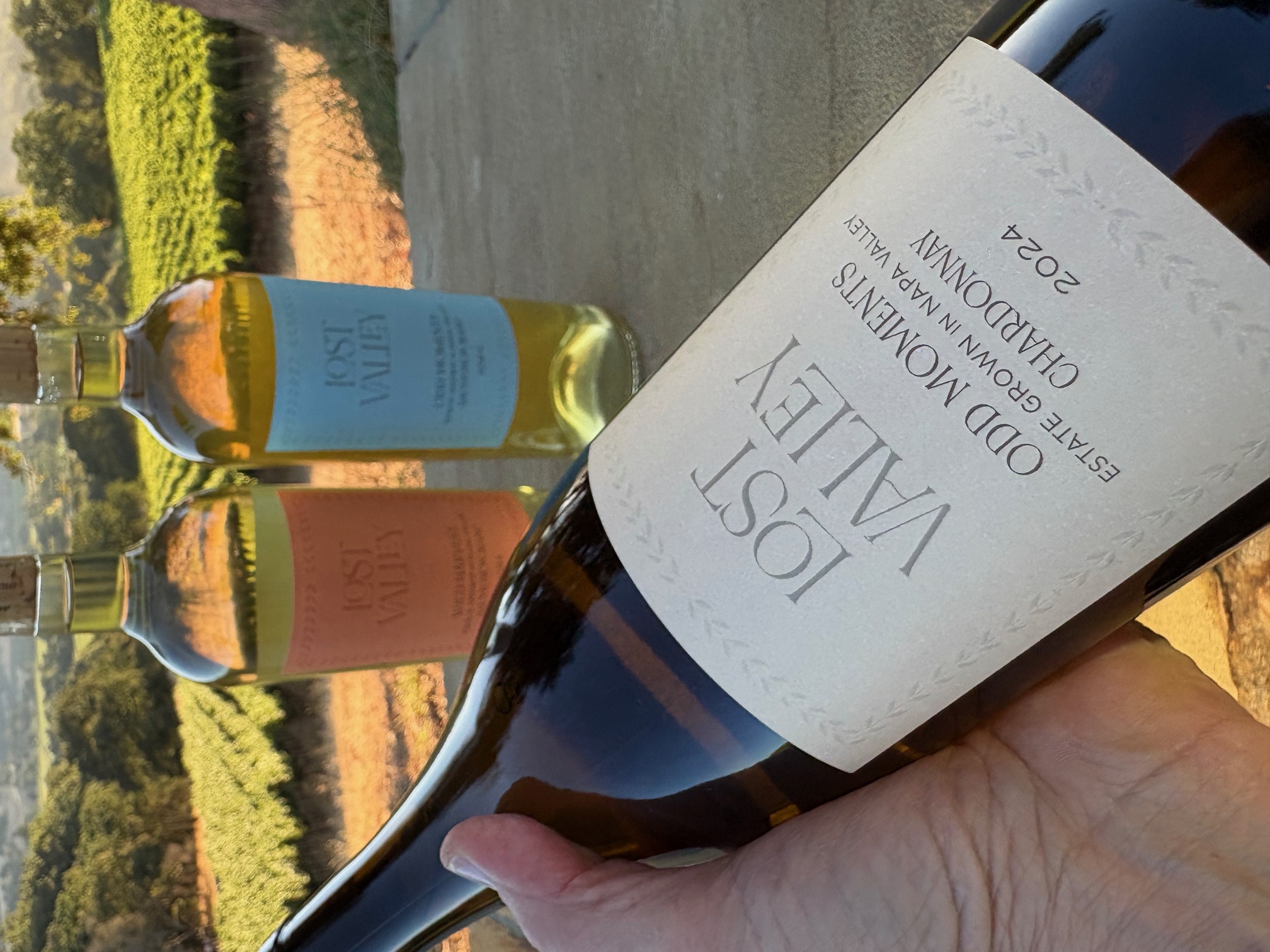 Lost Valley Wines