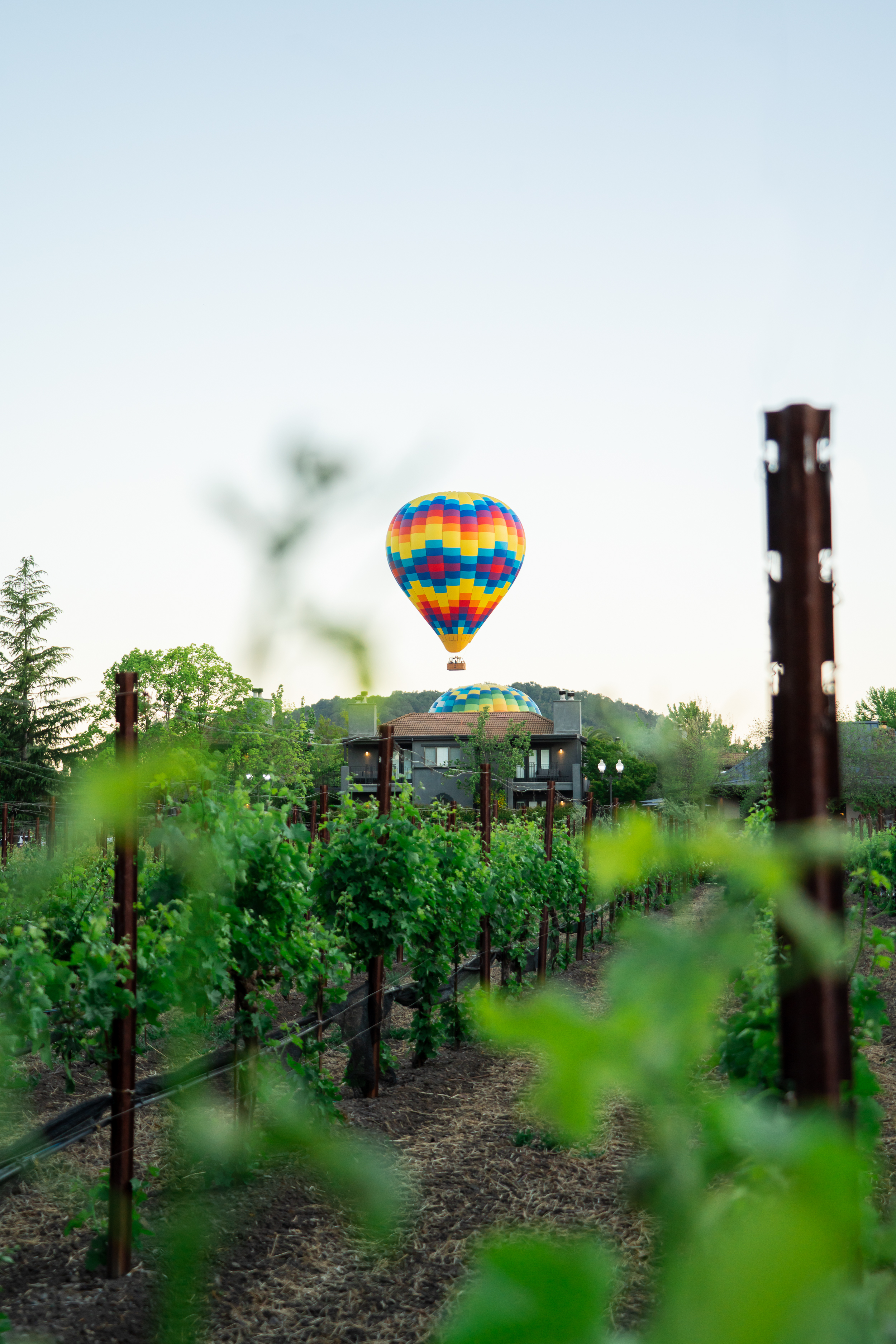 Bewustzijn Afhaalmaaltijd speelplaats Napa Valley Aloft Balloon Rides | Yountville, CA 94599