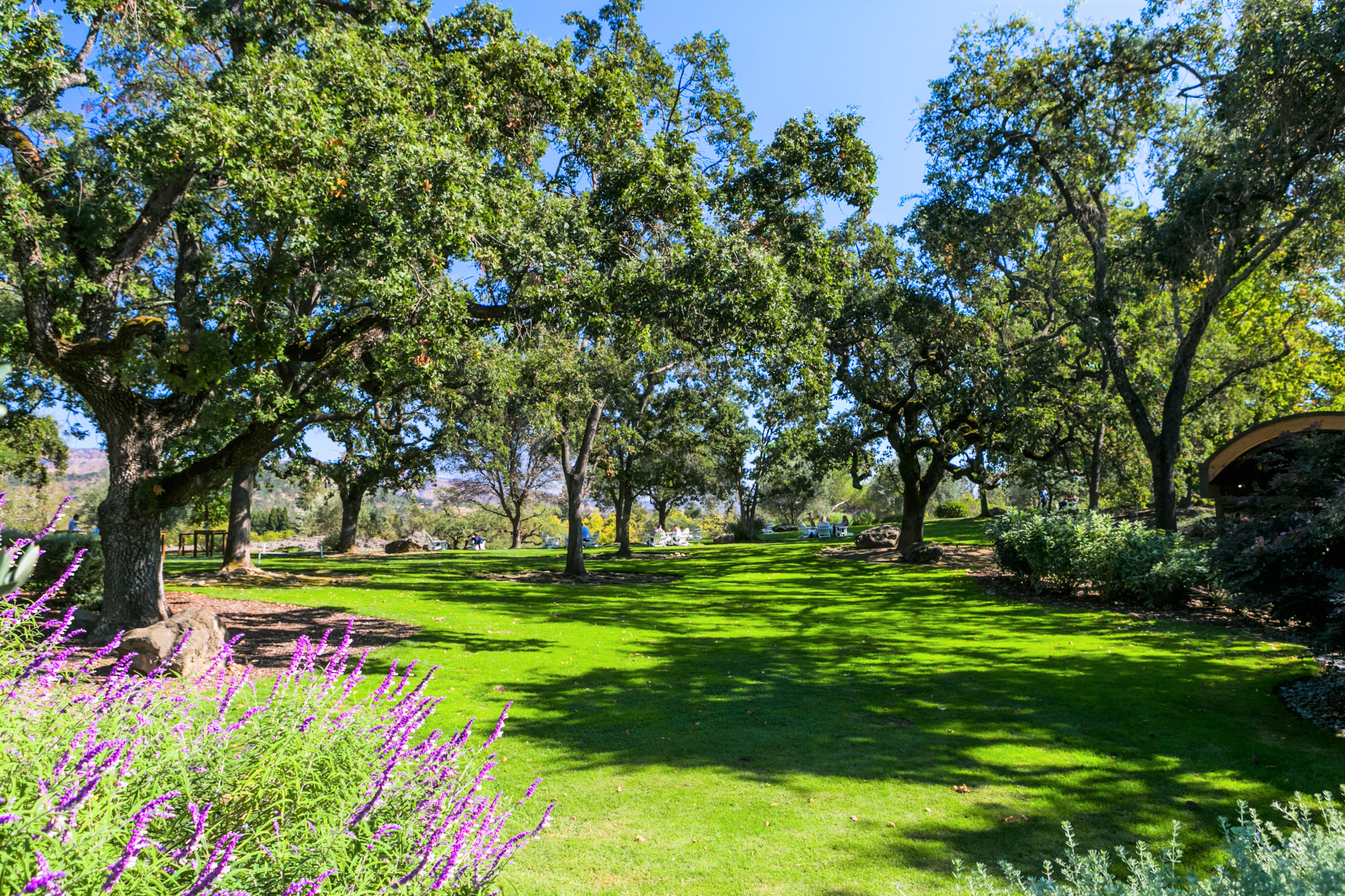 California - Yountville: Domaine Chandon, Domaine Chandon, …