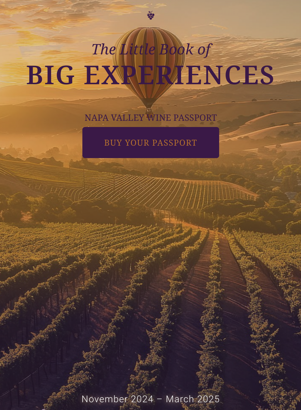 洋書 Beyond The Grapes: Napa Valley 洋書 Beyond The Grapes: Napa Valley 洋書 Beyond The Grapes: Napa