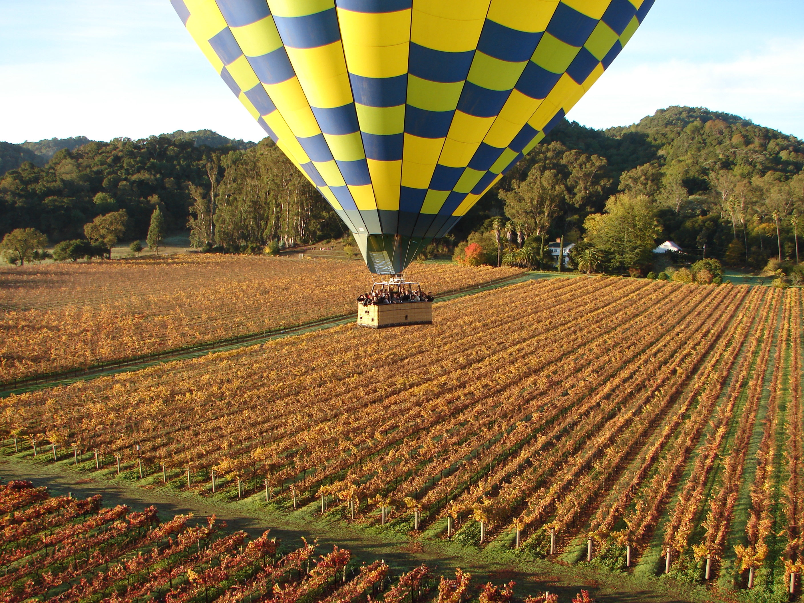 Balloons above deals the valley groupon