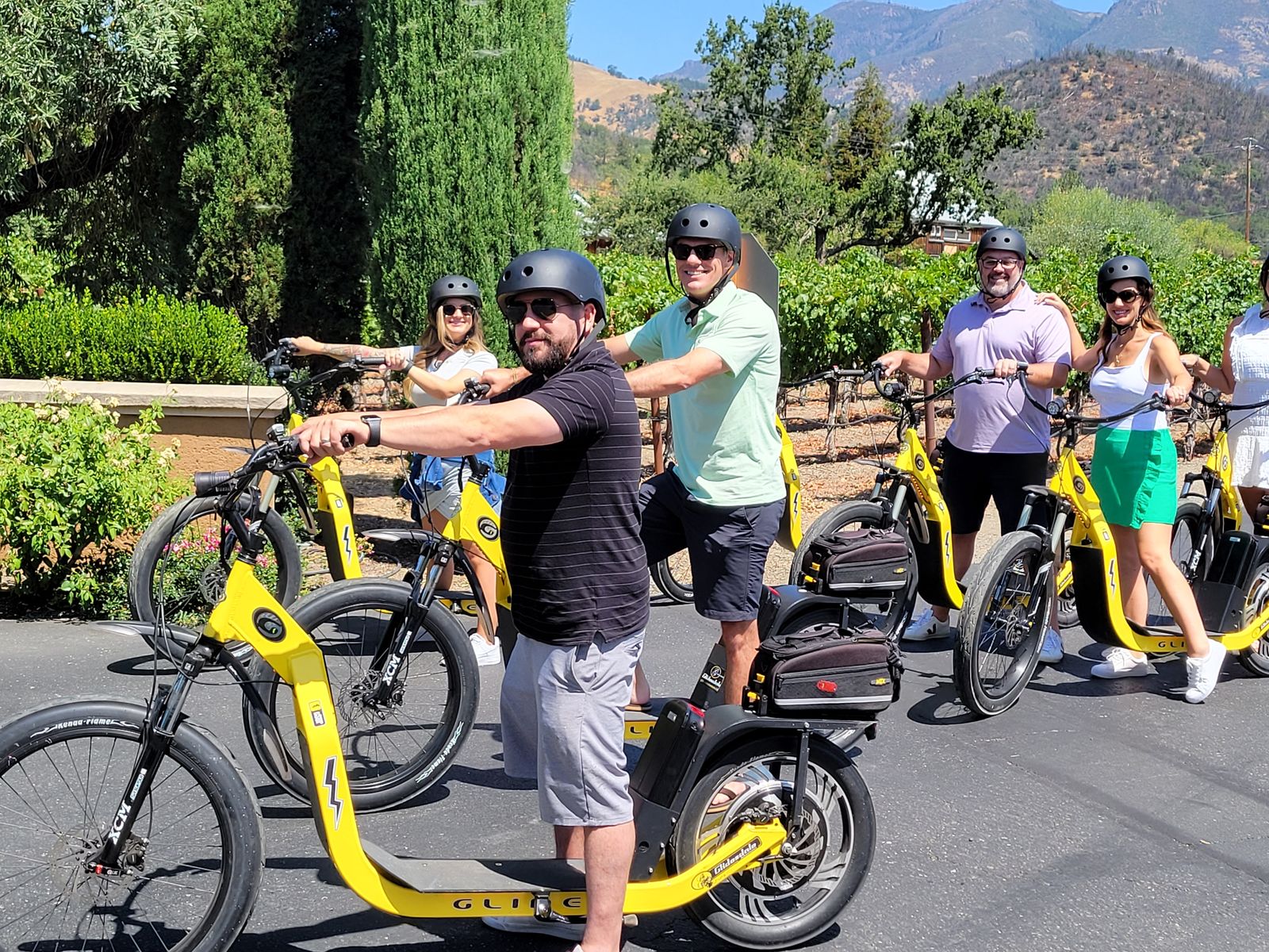 Napa Valley: Guided Winery E-Bike Tour
