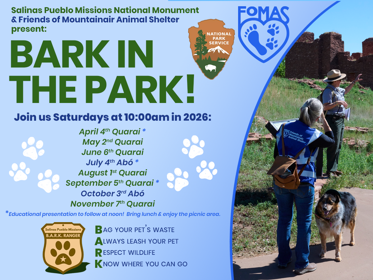 BARK_WEB_card_2026_D51CCE46-