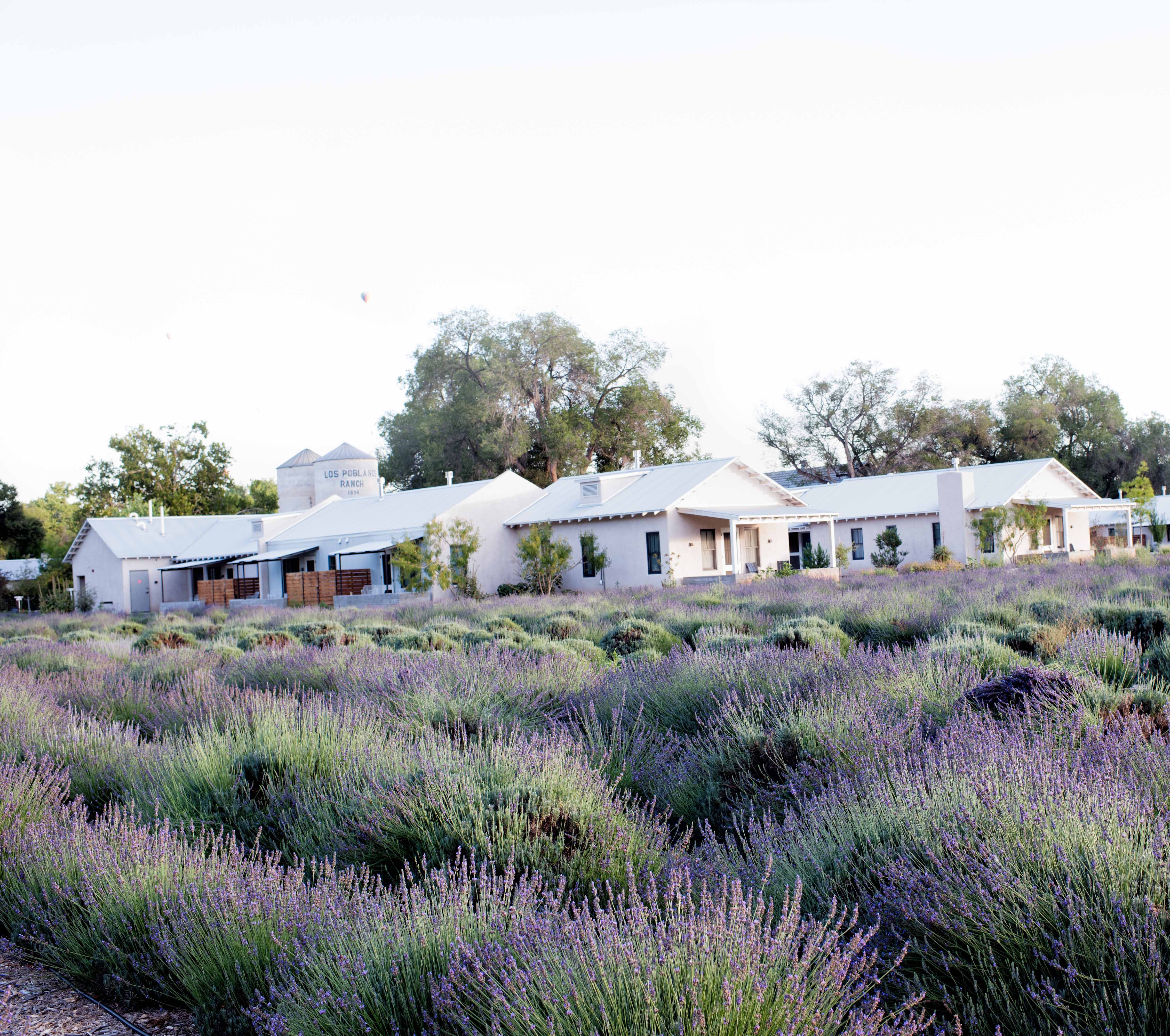 Los Poblanos Inn & Organic Farm | Los Ranchos, NM NM
