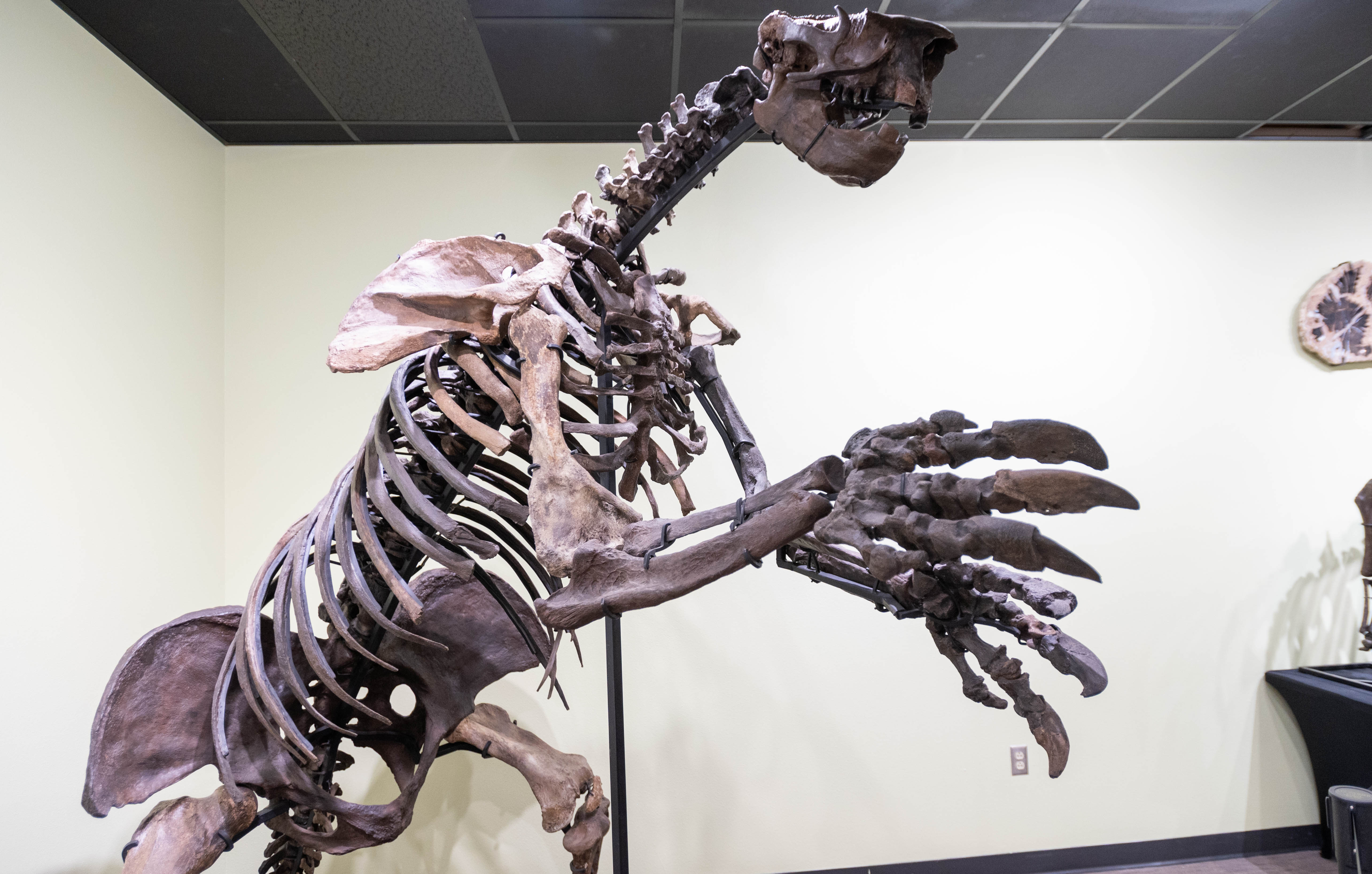 置物 out of museum Zuhl Museum: Home of the Zuhl Collection | Las Cruces, NM 88003