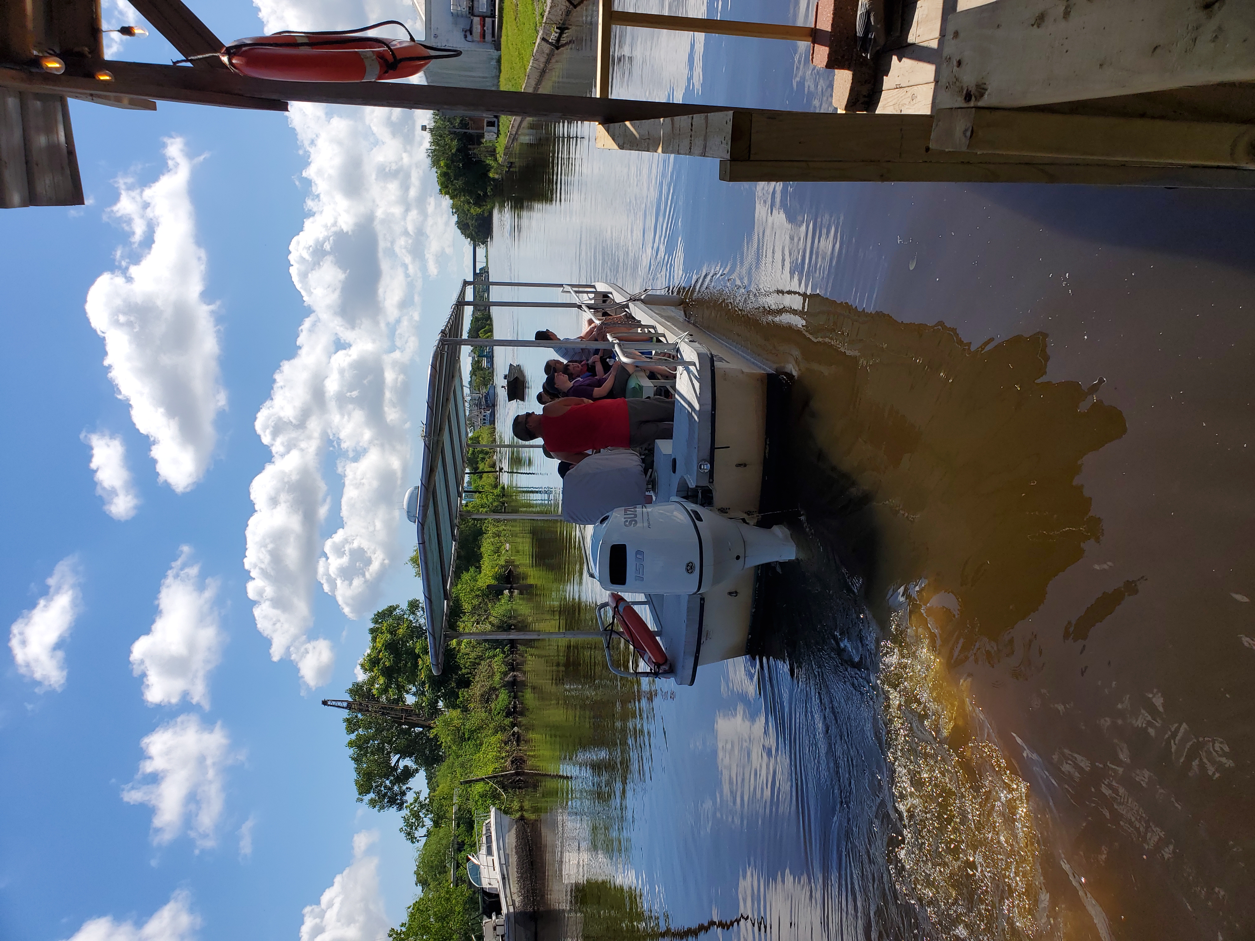 Underground sea 、Tropical、Bayou BAYOU BIENVENUE WETLAND TRIANGLE - Updated October 2025 - 28