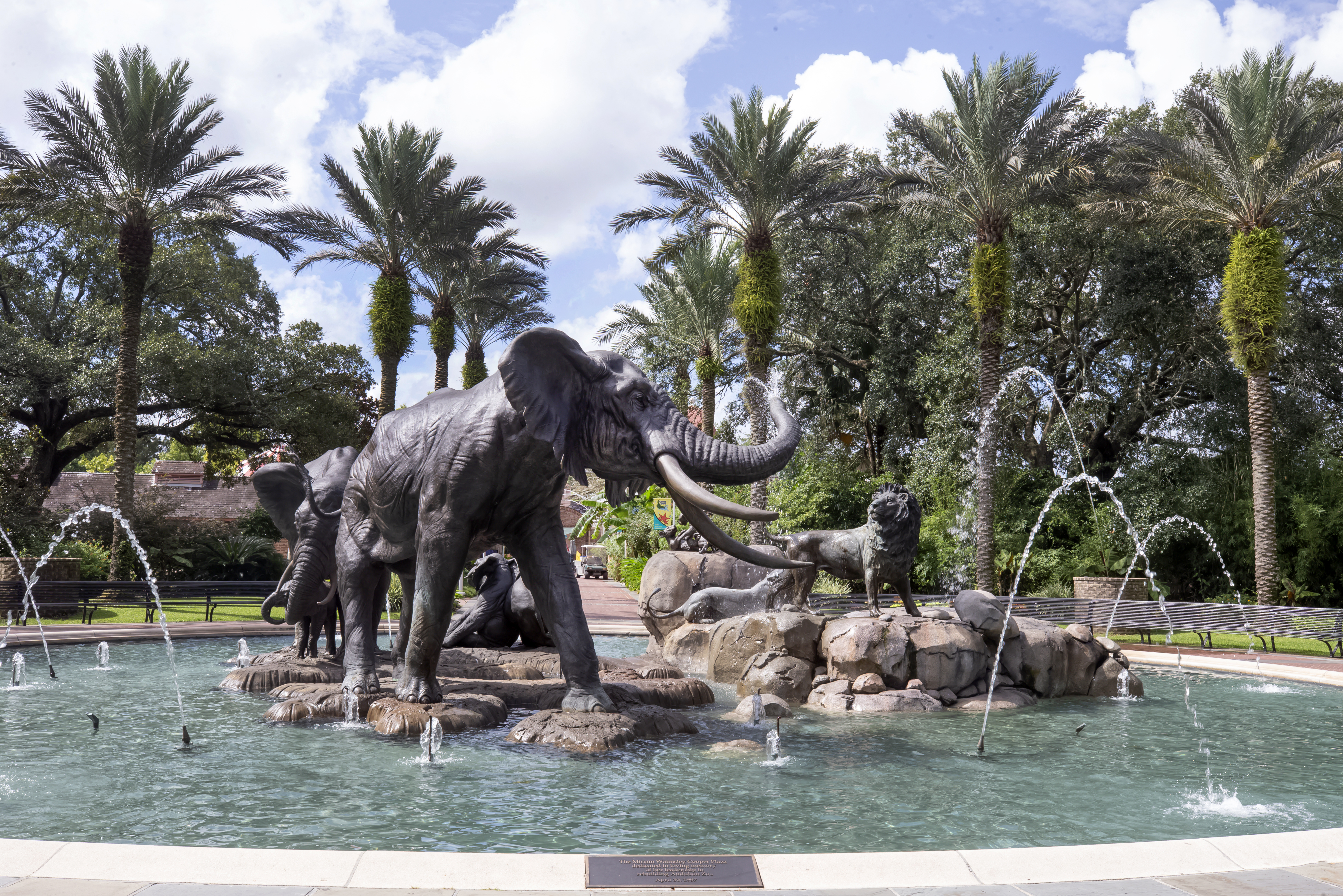 Aububon Zoo