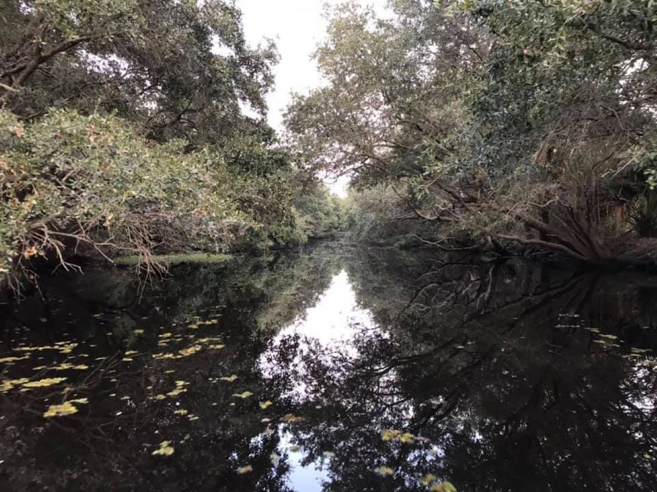 Happiness Bayou Tours