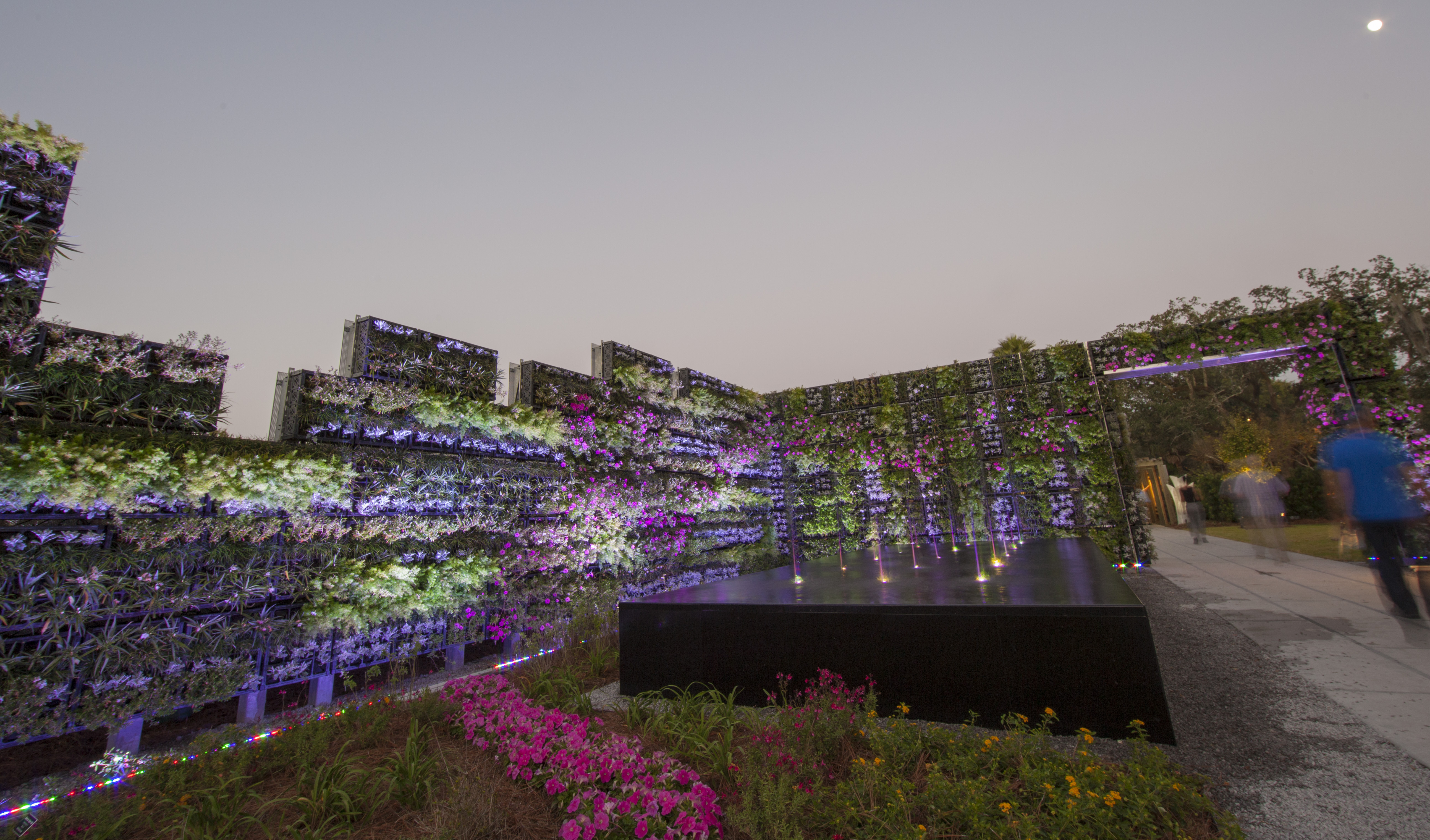 Enrique-Alferez-band-night_1-