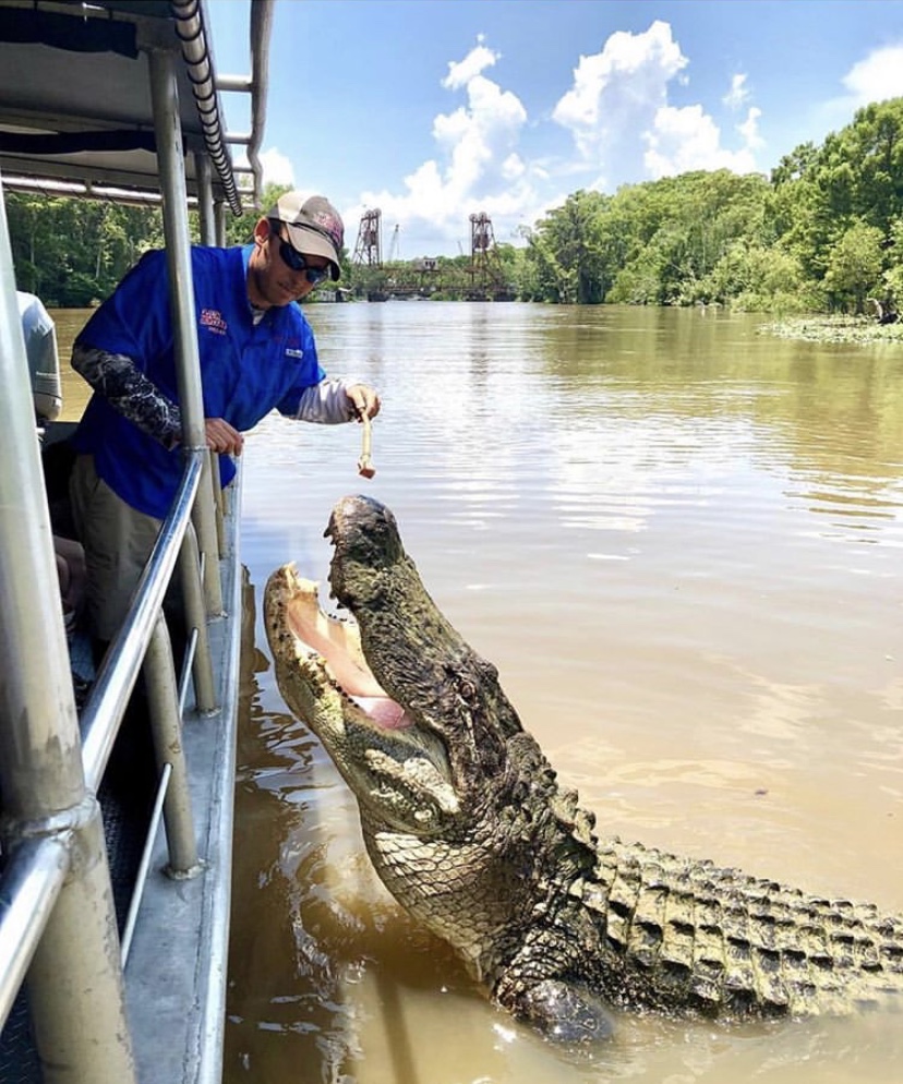 Cajun Encounters Swamp Tours