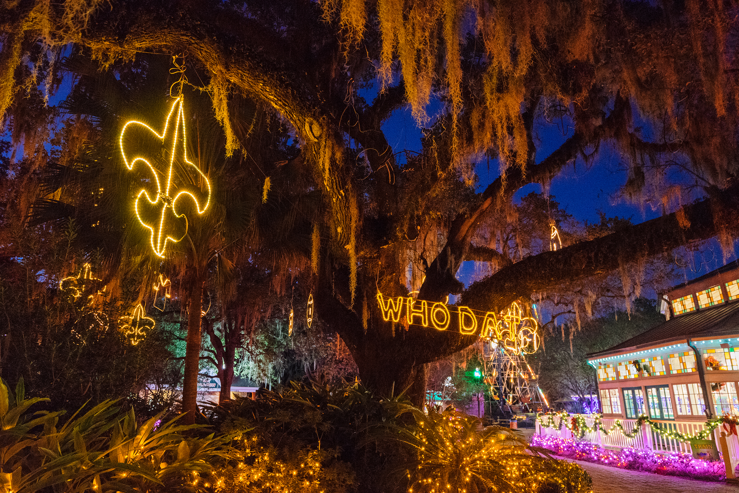 New Orleans City Park Christmas Lights 2021 – Christmas images 2021