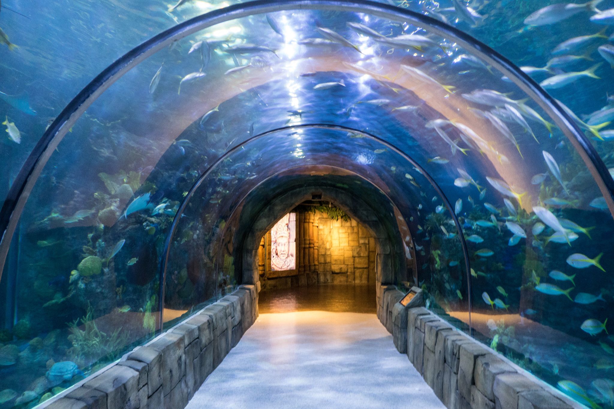 Weddings At The Audubon Aquarium New Orleans: Audubon Aquarium