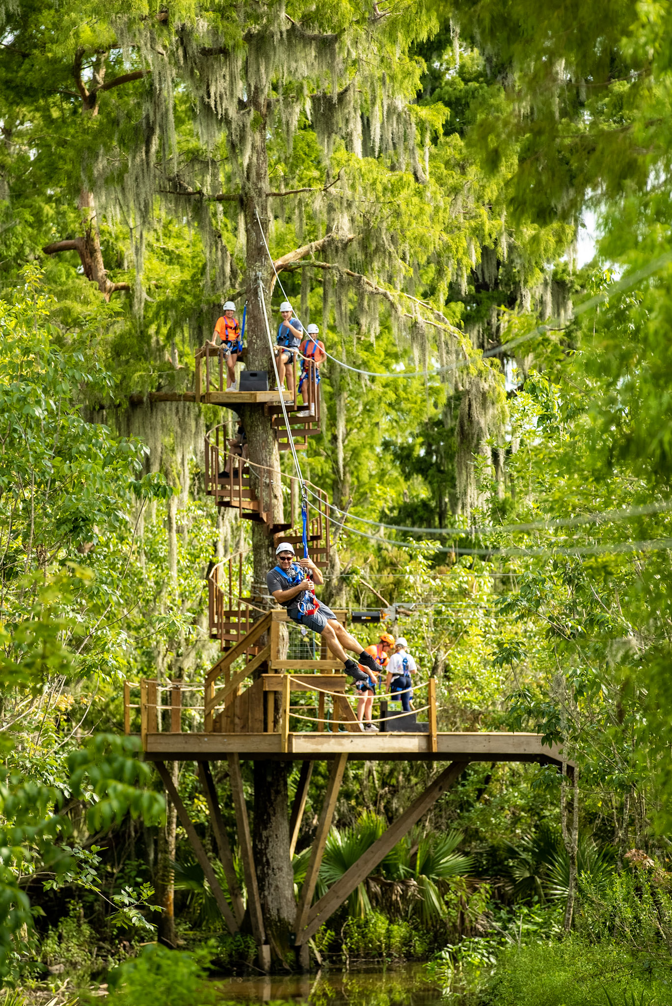 ボンボネーラ Zip NOLA LLC