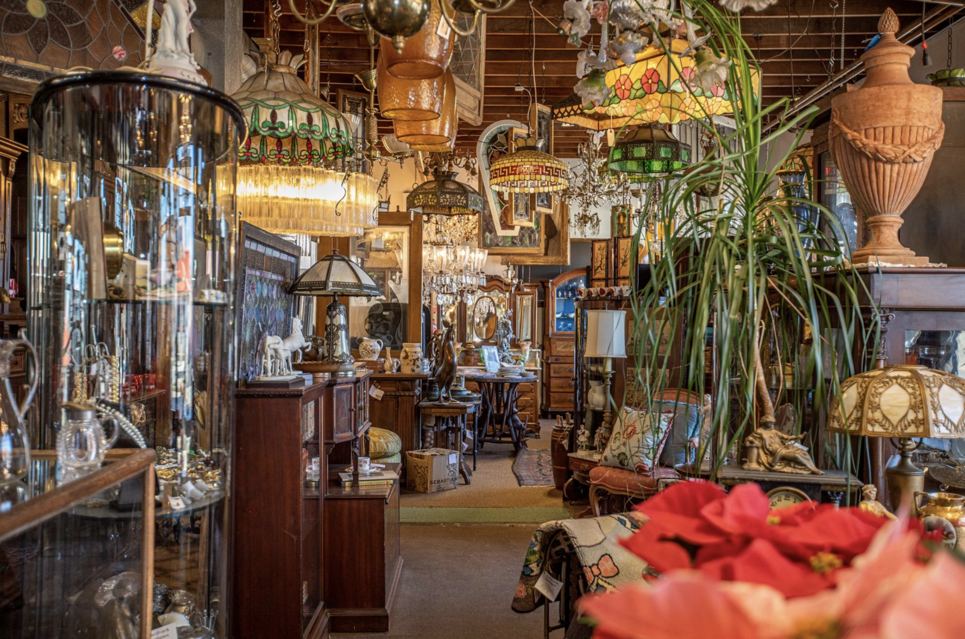 Aardvark Antiques | Newport, RI | Discover Newport