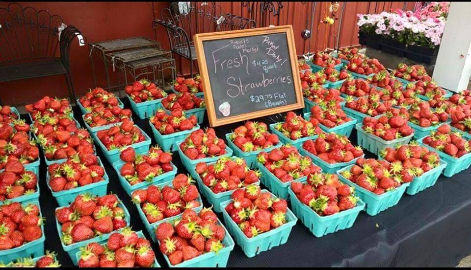 Roberts Farm Market Medina Ny 14103