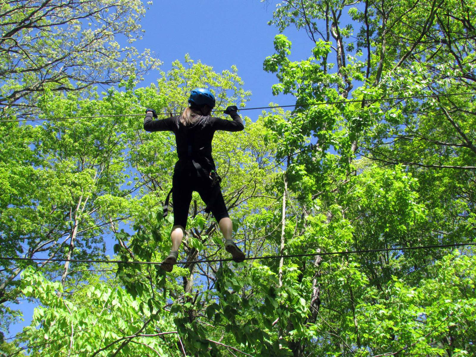 NYzipline | Schenectady, NY 12302