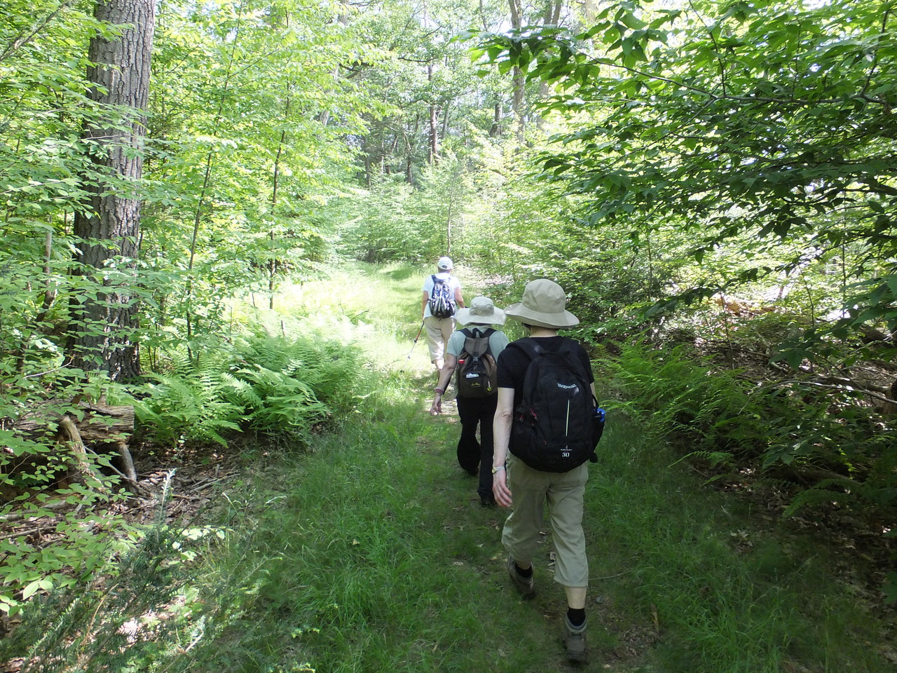 Sterling Forest State Park Tuxedo Park Ny 10987