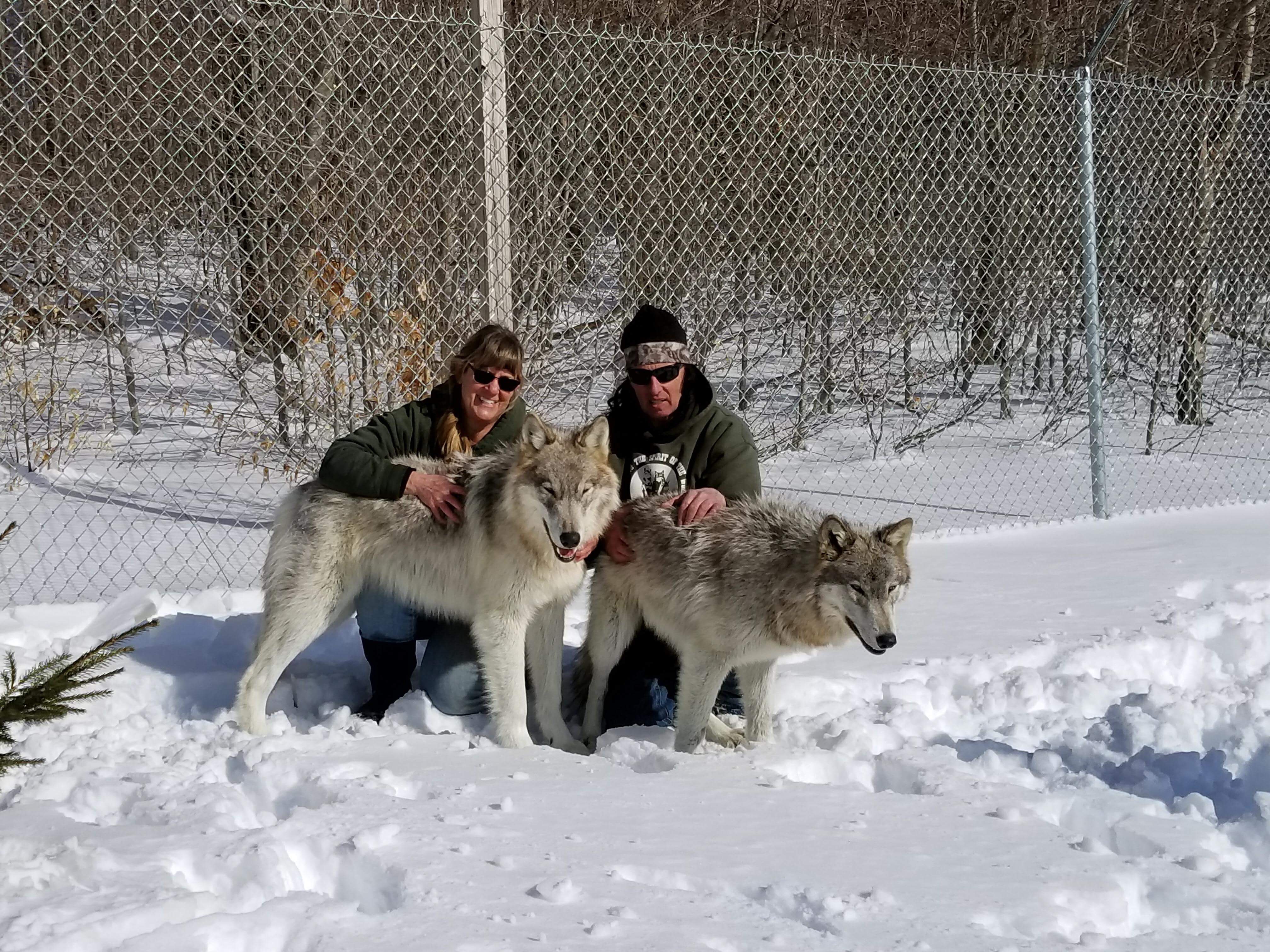 The Wolf Mountain Nature Center, Inc. | Smyrna, NY 13464-2216