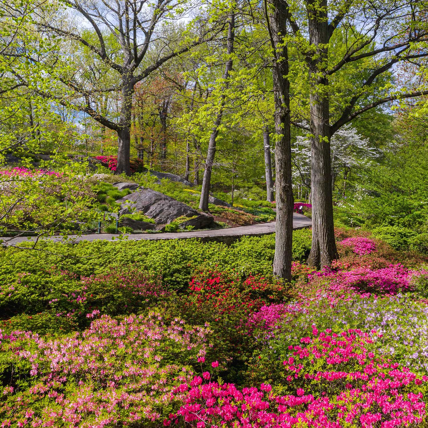 New York Botanical Garden | Bronx, NY 10458