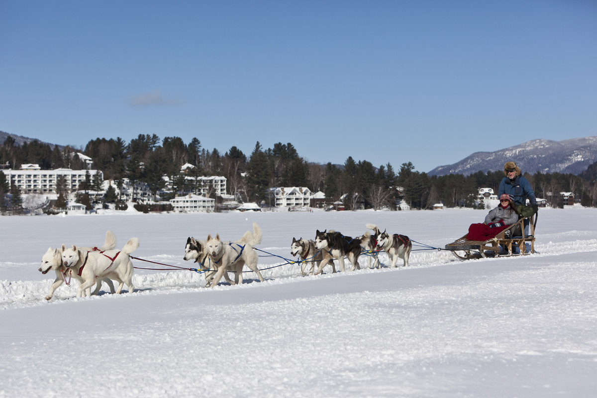 Mike Arnold Dog Sled Rides Lake Placid Ny 12946 Mike Arnold Dog Sled Rides Lake Placid Ny 12946