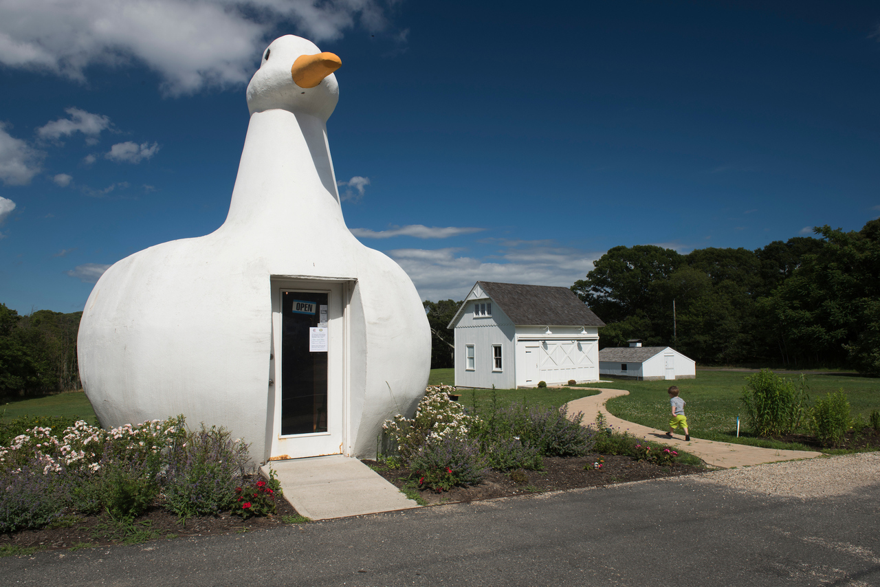 Big Duck, The | Flanders, NY 11901