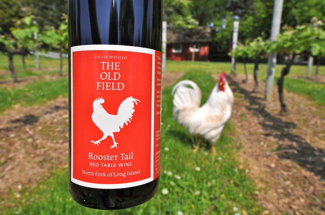 The Old Field Rooster Tail Red Table Wine – The Old Field Vineyards