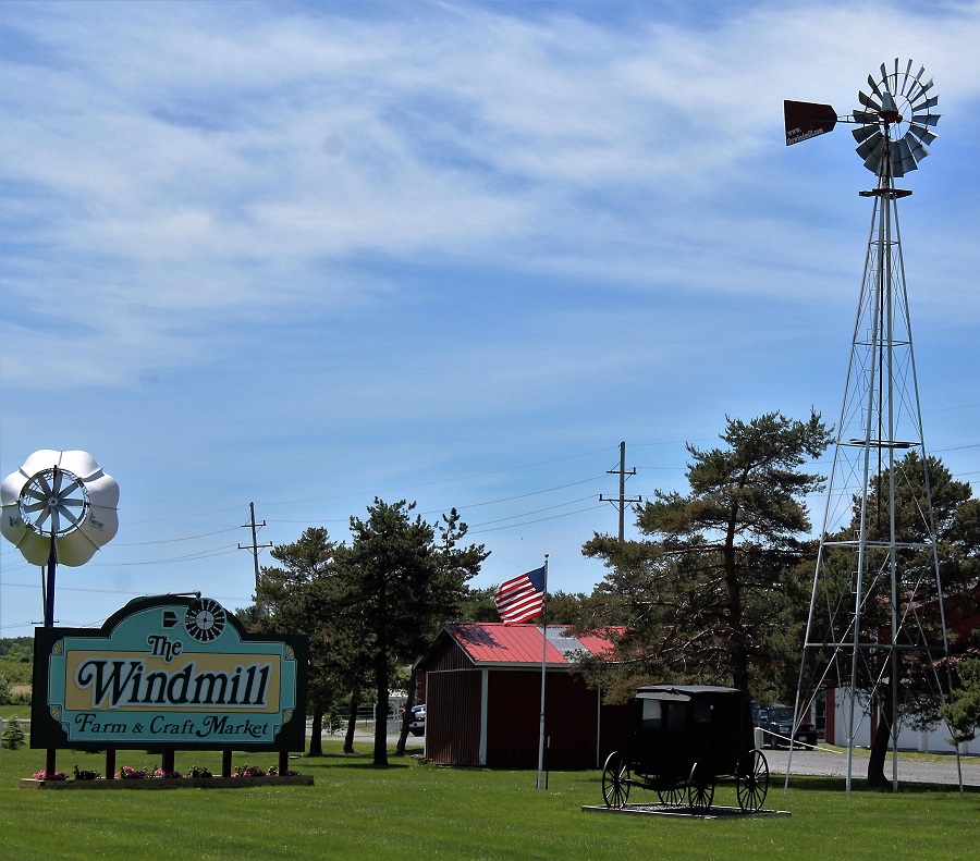 The windmill farm and on sale market