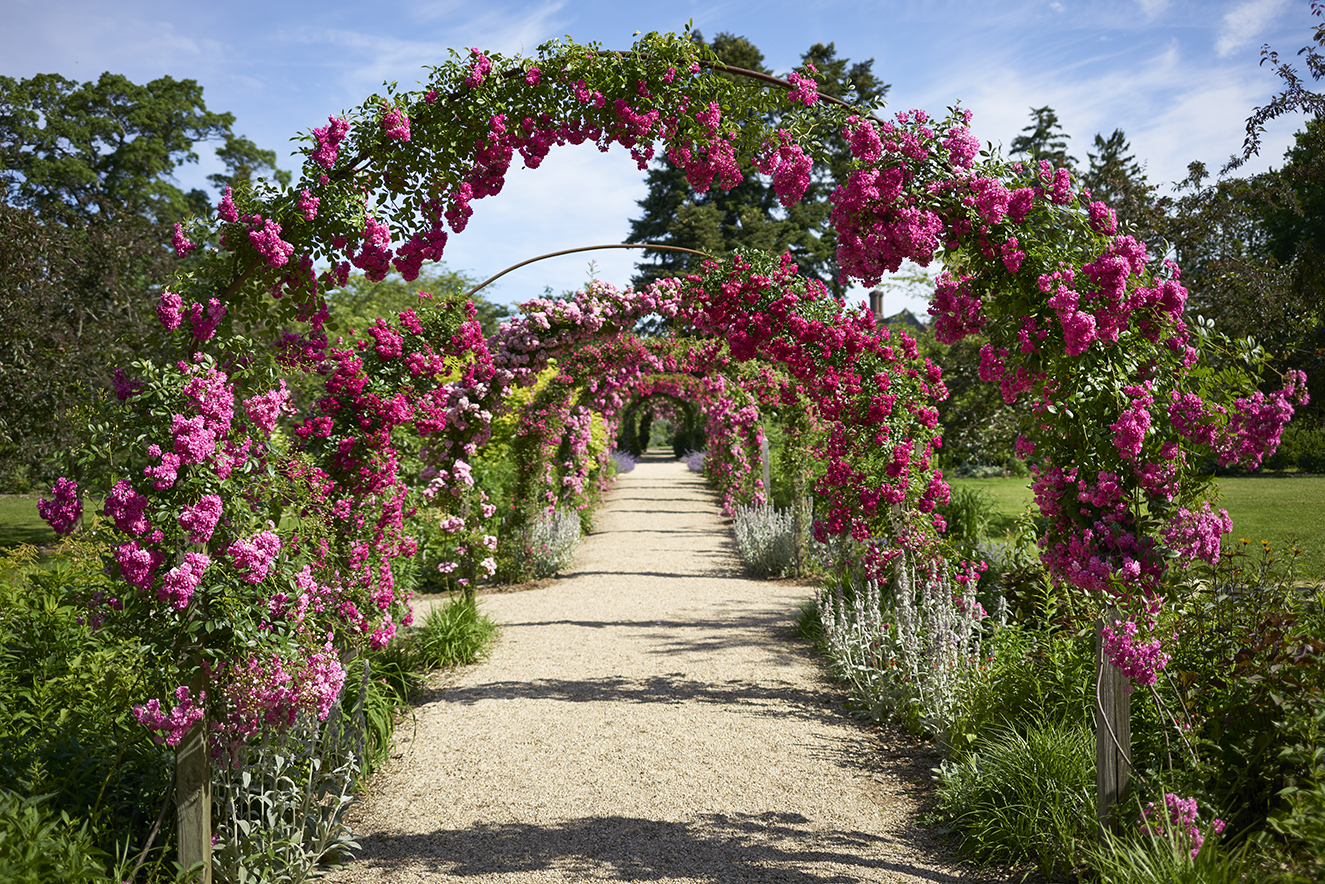 Planting Fields Arboretum