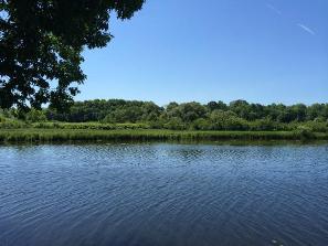 douglaston salmon run