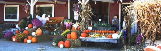 Roberts Farm Market Medina Ny 14103