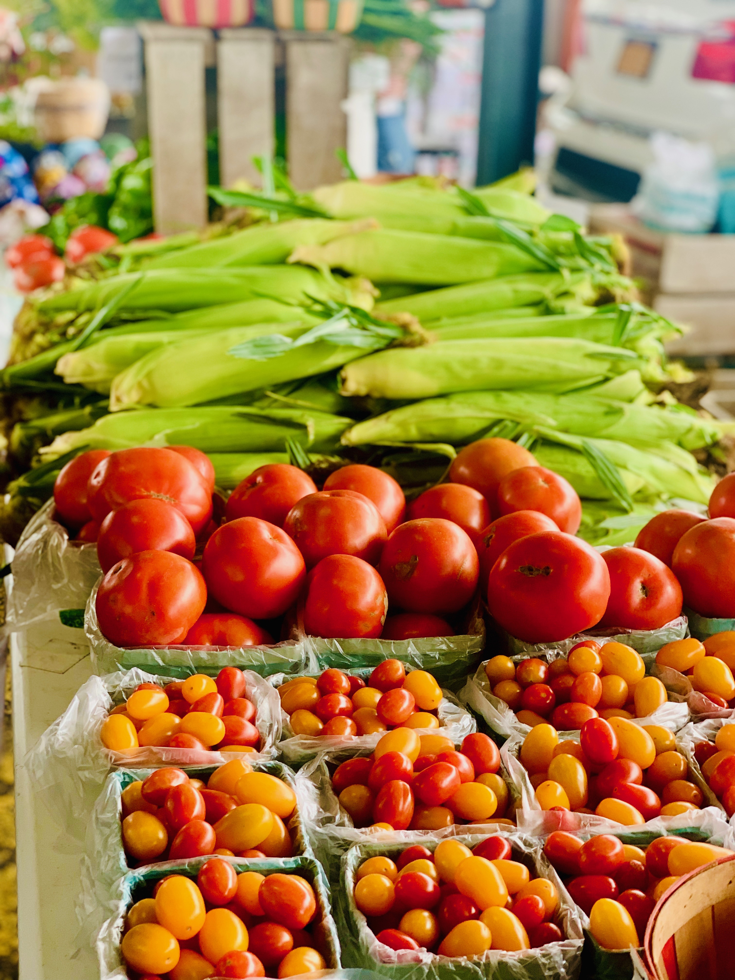 Delivered Box Shares – Common Thread CSA, image size:3024x4032