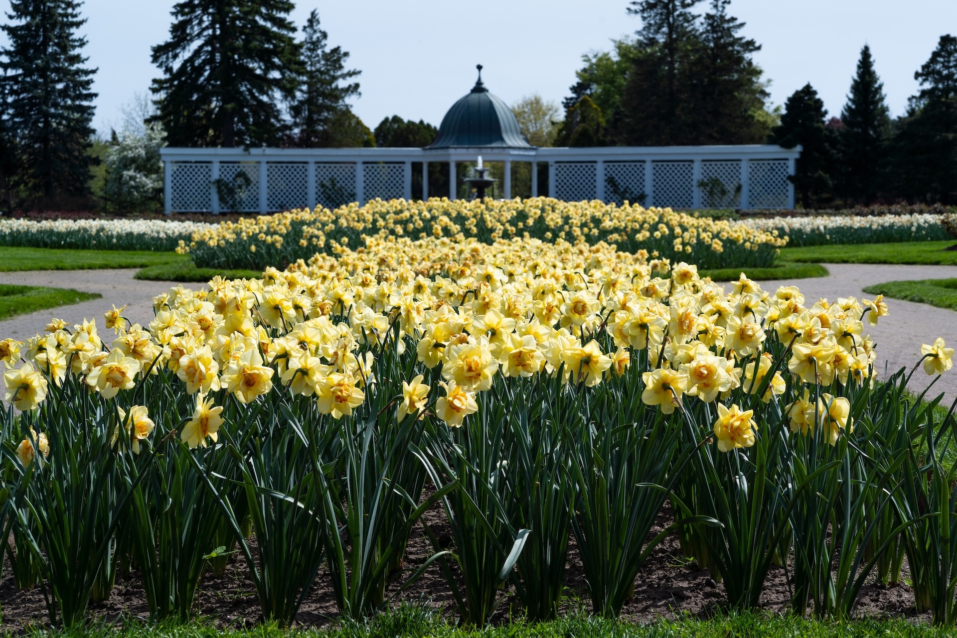 Botanical Gardens