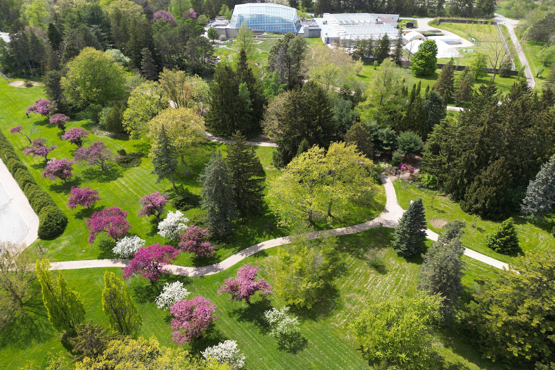 セファロタス Botanical Garden~ Botanical Gardens