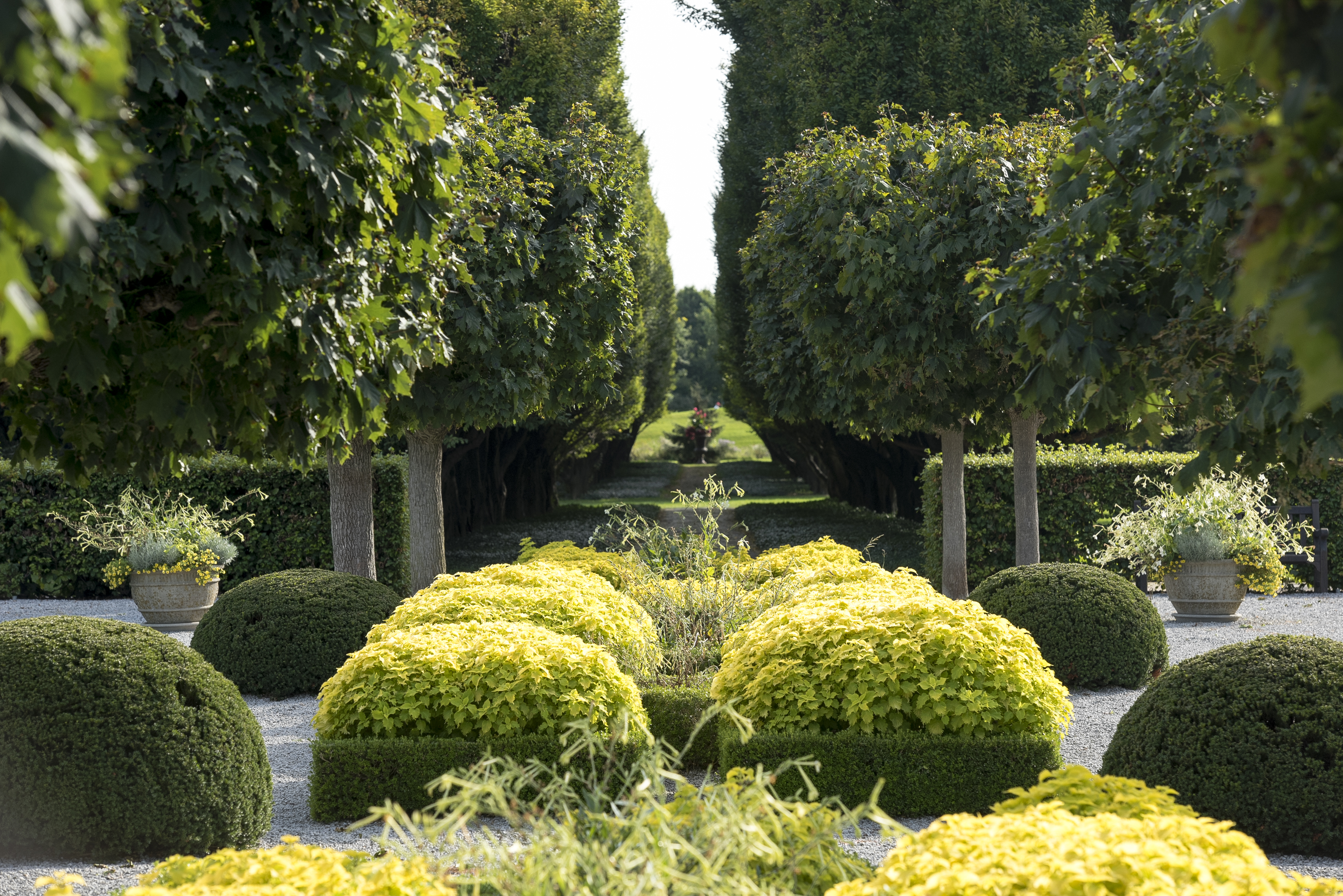 Botanical Gardens
