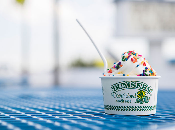 Dumser's Dairyland