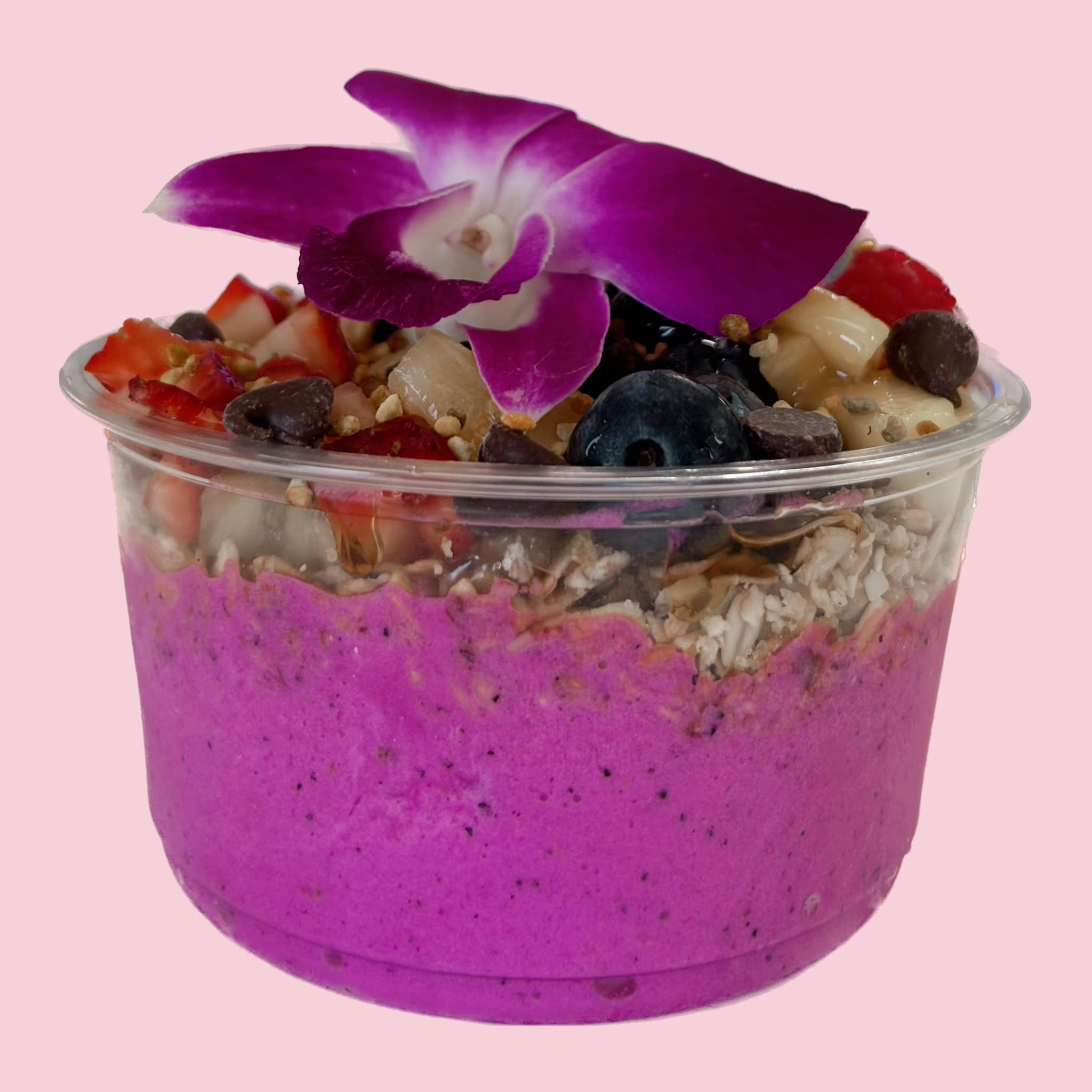 The Blue Dolphin | Oklahoma City, OK