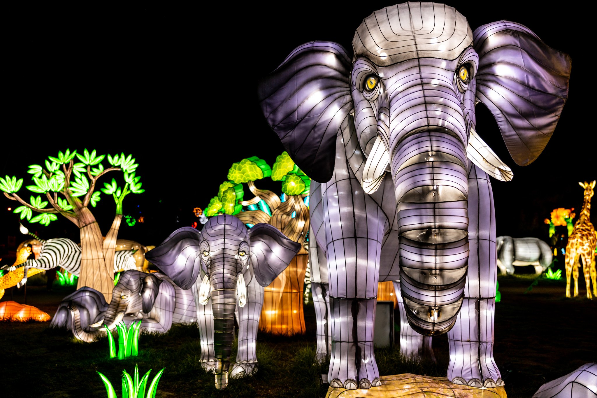 入手困難アメリカ購入、4 holidayイリミネーションライト 入手困難