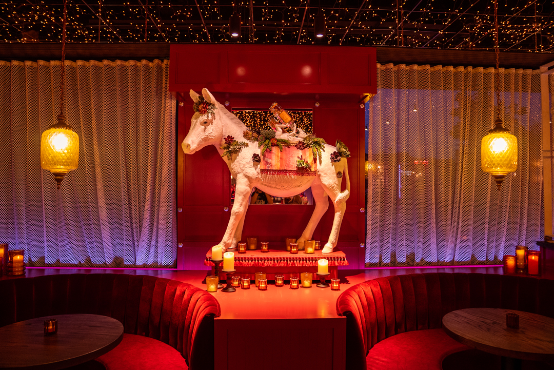 Ghost Donkey - Omaha